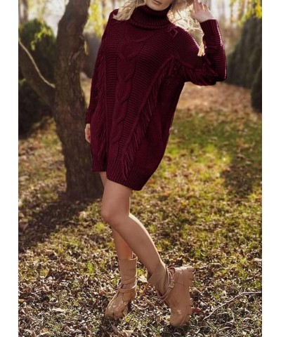 Women Fashion Sweater Short Dress Long Sleeve Turtleneck Oversized Fall Winter Soft Chunky Knit Pullover Sweaters Tassel Wine...