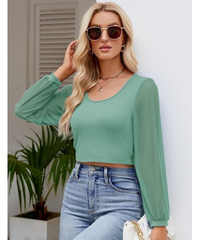 Womens Petite Tops Casual Mesh Long Sleeve Crop Tops Rib-Knit Solid Basic Tees Light Green $12.86 T-Shirts