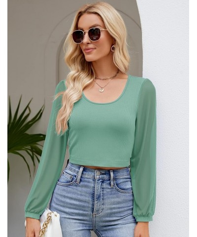 Womens Petite Tops Casual Mesh Long Sleeve Crop Tops Rib-Knit Solid Basic Tees Light Green $12.86 T-Shirts