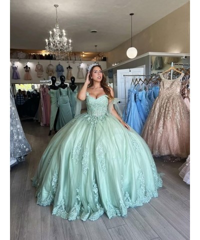 Sweet 16 Quinceanera Dresses Ball Gown Off Shoulder Prom Dresses with Train Puffy Tulle Lace Party Gowns CXL034 Sage Light $5...