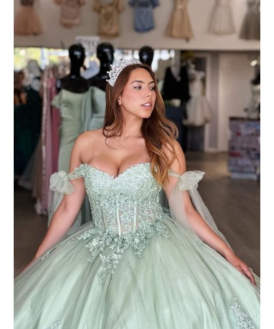 Sweet 16 Quinceanera Dresses Ball Gown Off Shoulder Prom Dresses with Train Puffy Tulle Lace Party Gowns CXL034 Sage Light $5...