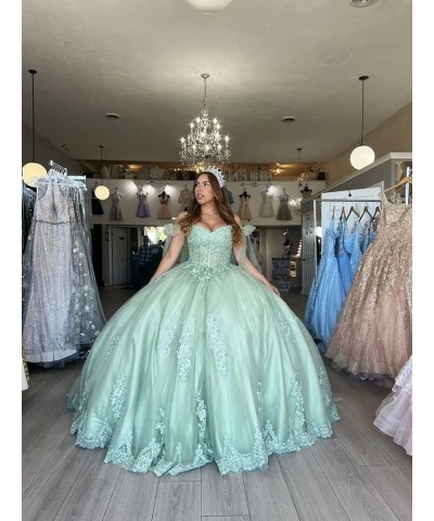 Sweet 16 Quinceanera Dresses Ball Gown Off Shoulder Prom Dresses with Train Puffy Tulle Lace Party Gowns CXL034 Sage Light $5...