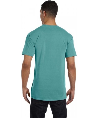 Comfort C1717 Colors 6.1 oz. Ringspun Garment-Dyed T-Shirt Seafoam $10.32 T-Shirts